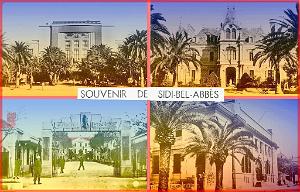 SIDI BEL ABBES 537  SOUVENIR